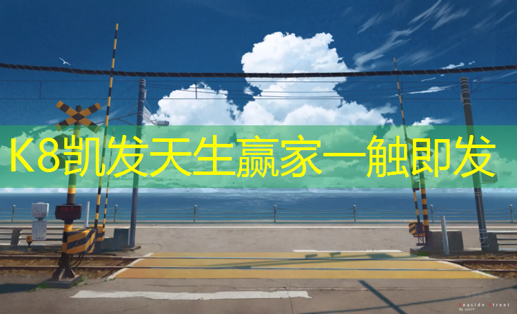 K8凯发国际官方网站：芜湖荟萃中学塑胶跑道